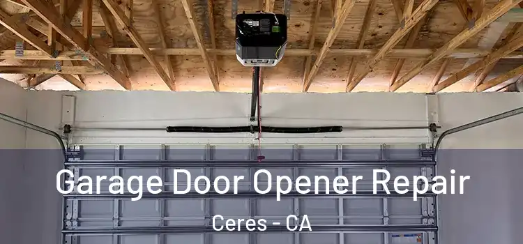  Garage Door Opener Repair Ceres - CA