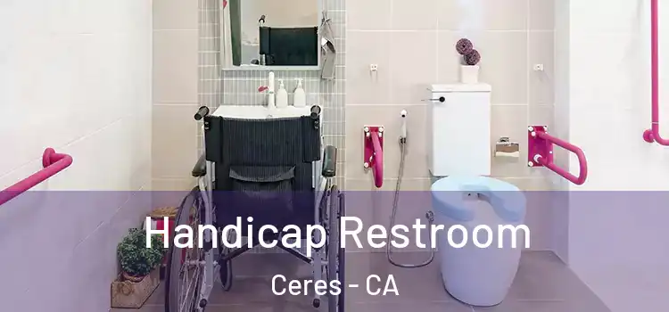 Handicap Restroom Ceres - CA