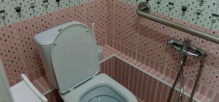Meeting Diverse Needs With Accessible Restroom Solutions in Ceres, CA