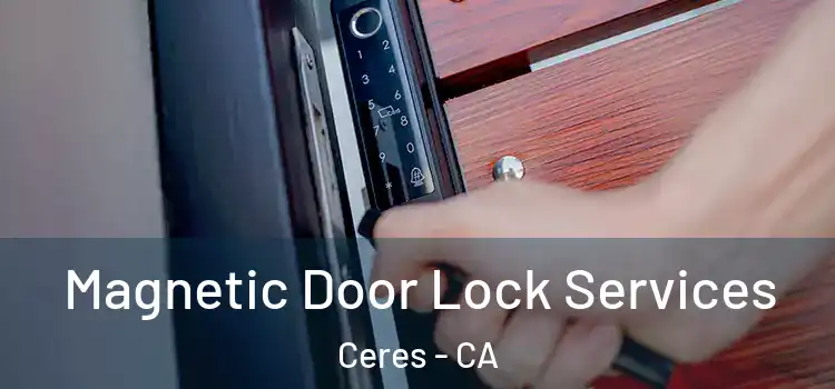 Magnetic Door Lock Services Ceres - CA